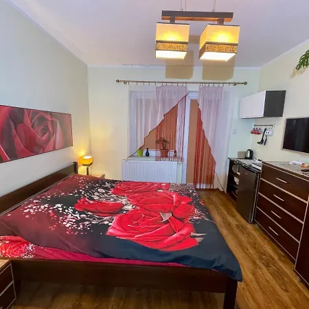 Ubytování v soukromí Red Rose Władysławowo