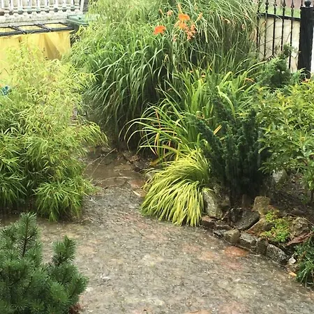 Red Rose Władysławowo