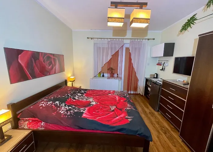 Ubytování v soukromí Red Rose Władysławowo