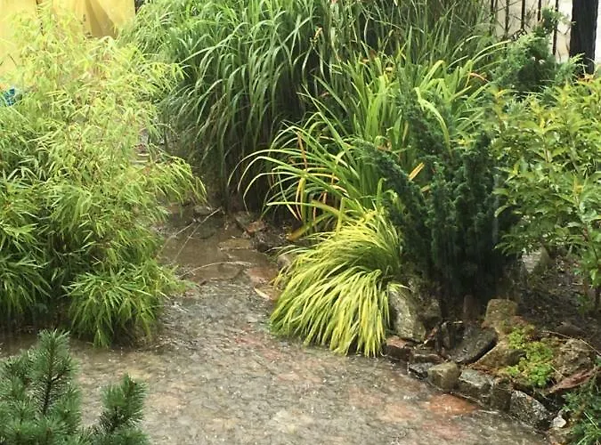 Red Rose Władysławowo